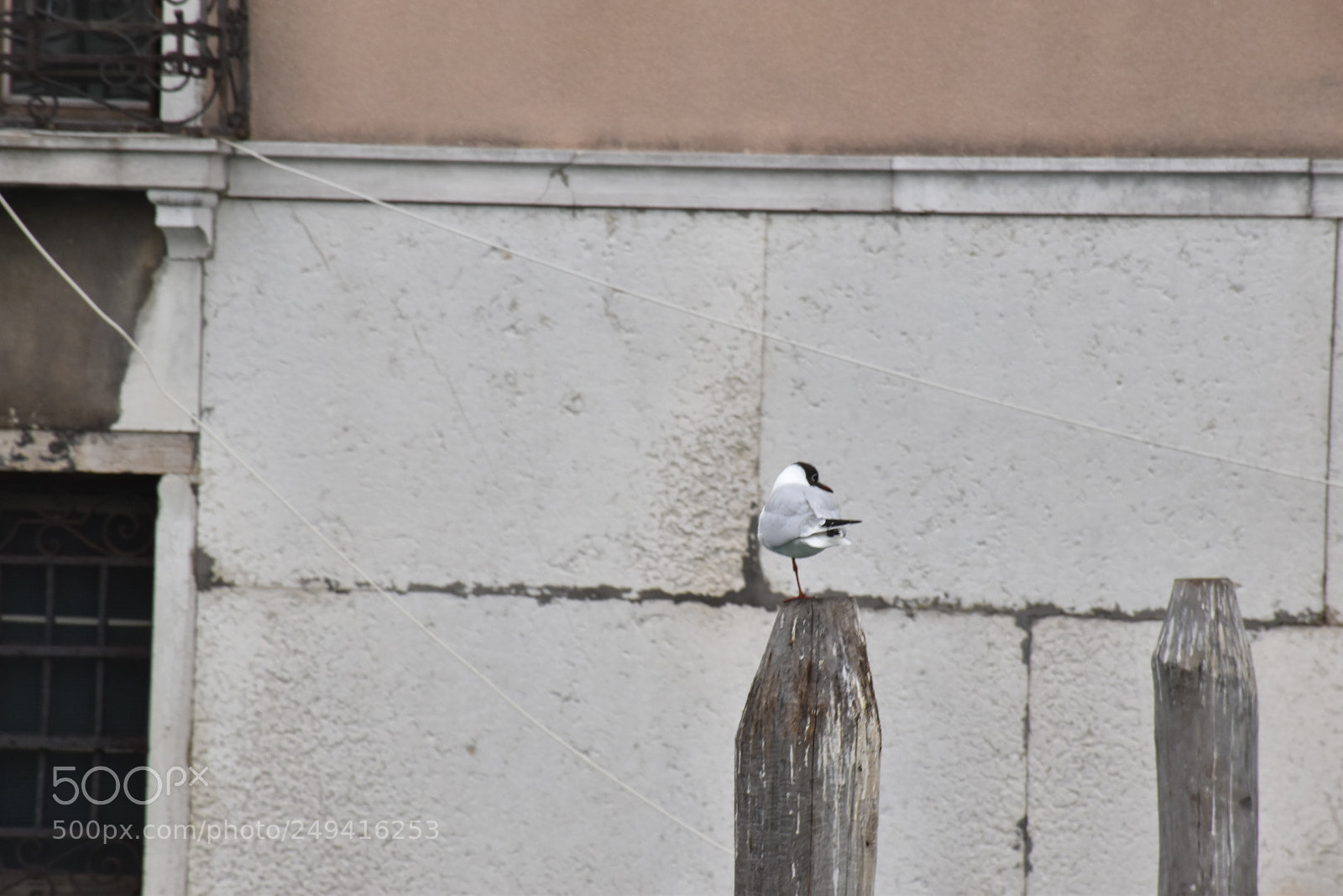 Nikon D5600 sample photo. Untitled photography