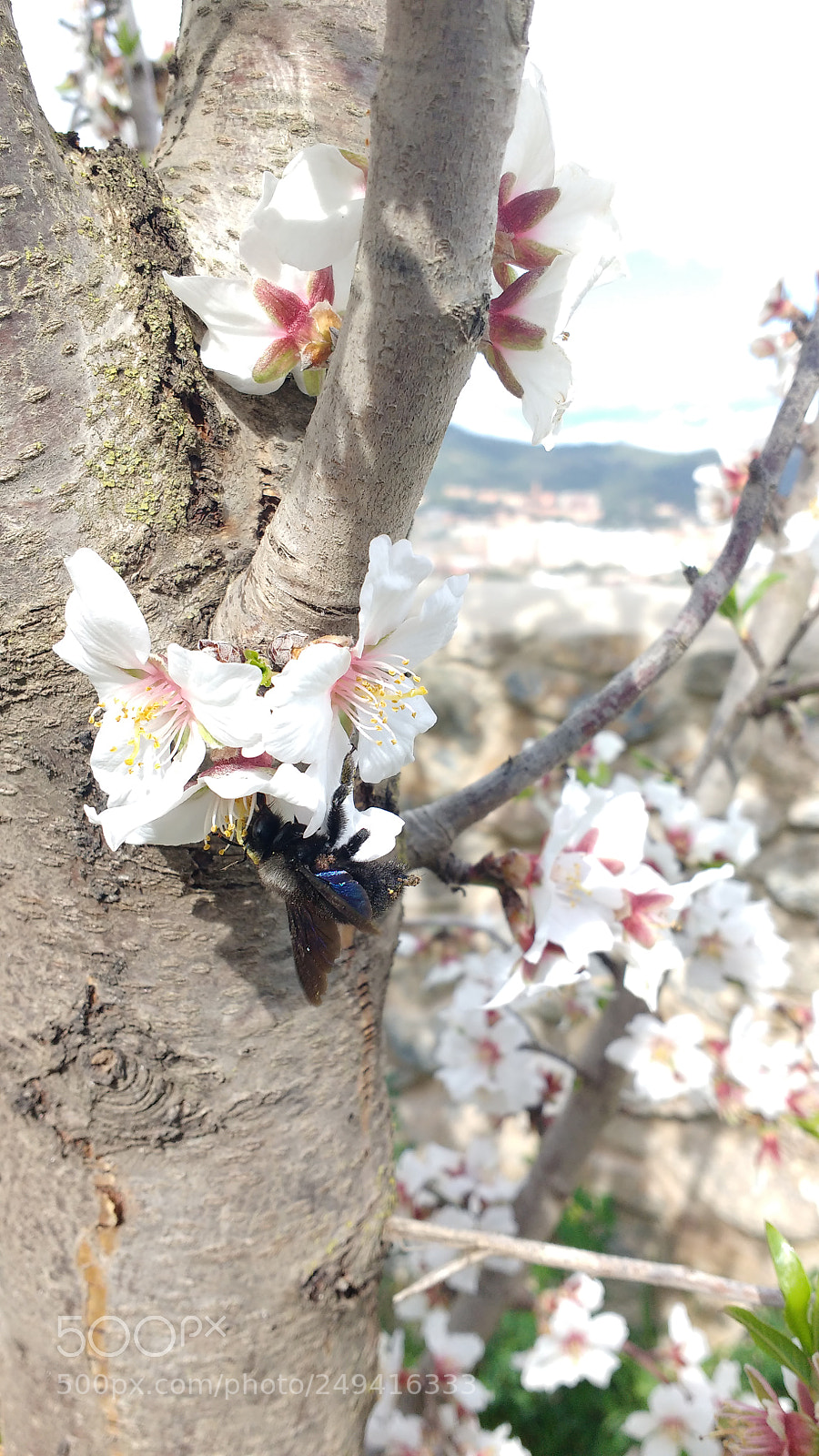 Motorola MotoG3 sample photo. Untitled photography