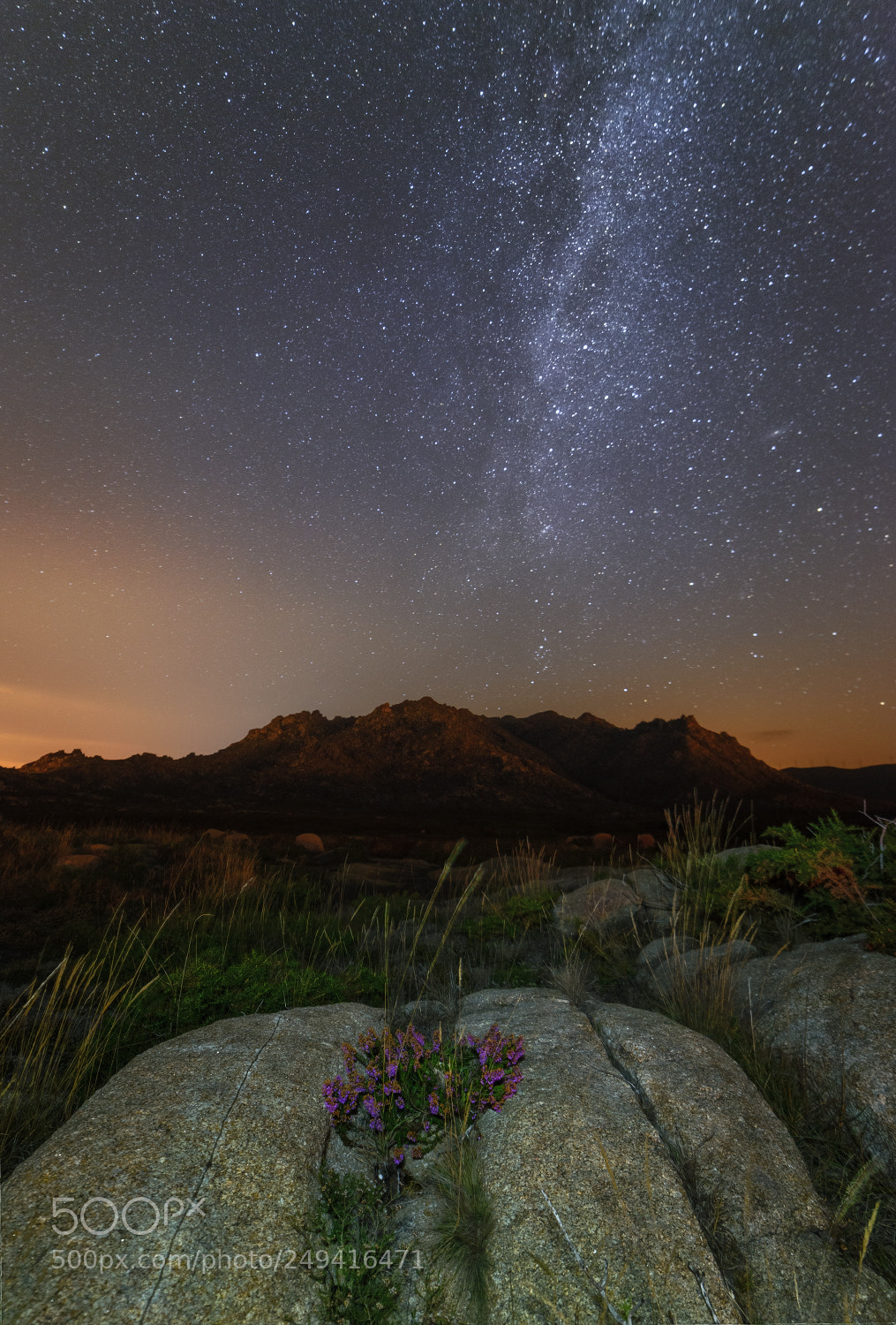 Nikon D610 sample photo. Under the stars photography