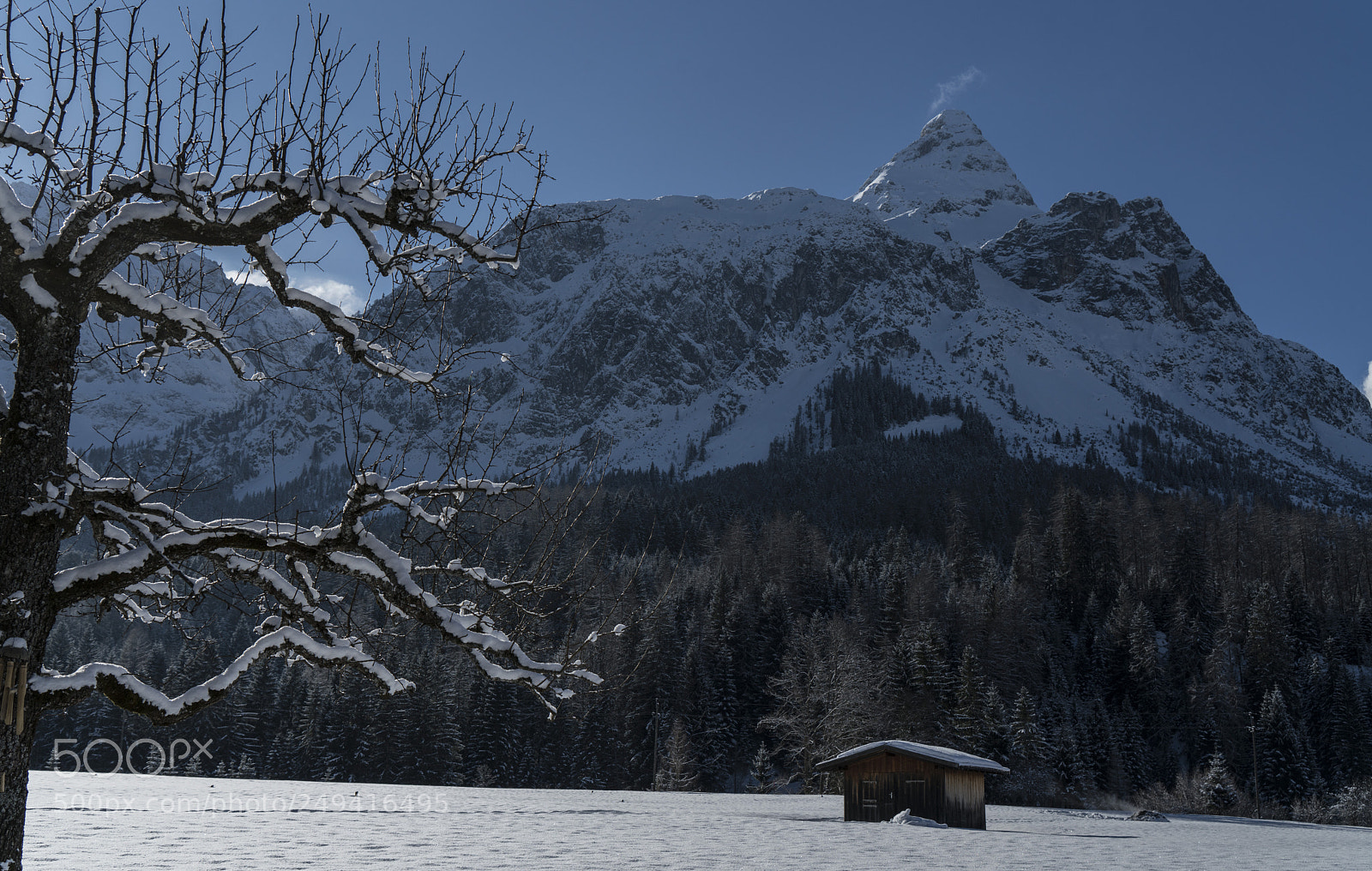 Sony a7R II sample photo. Lonely in nature photography