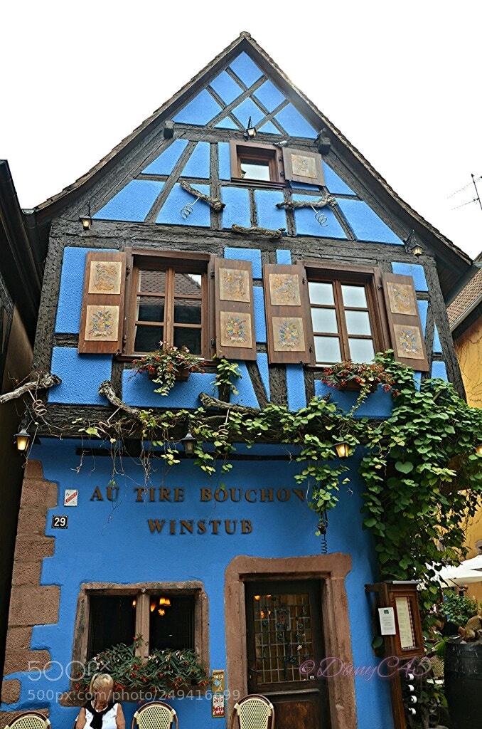 Nikon D5100 sample photo. Alsace (16) photography