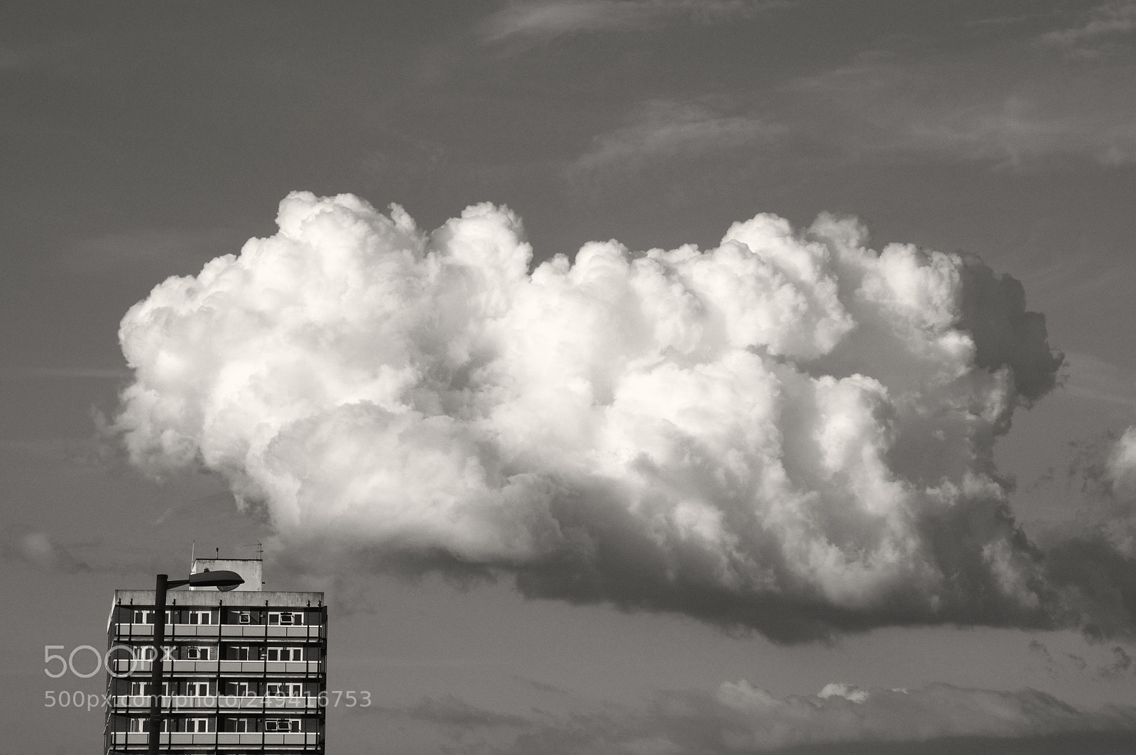 Nikon D300S sample photo. Floating on by photography