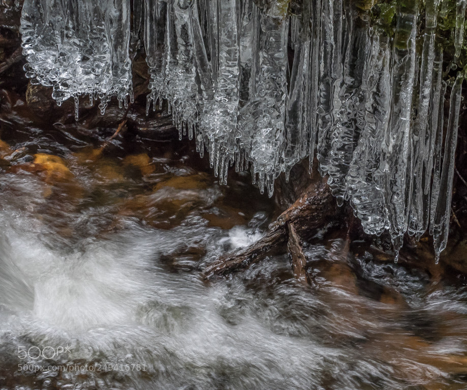 Olympus OM-D E-M1 sample photo. Ice 3- 2018 photography