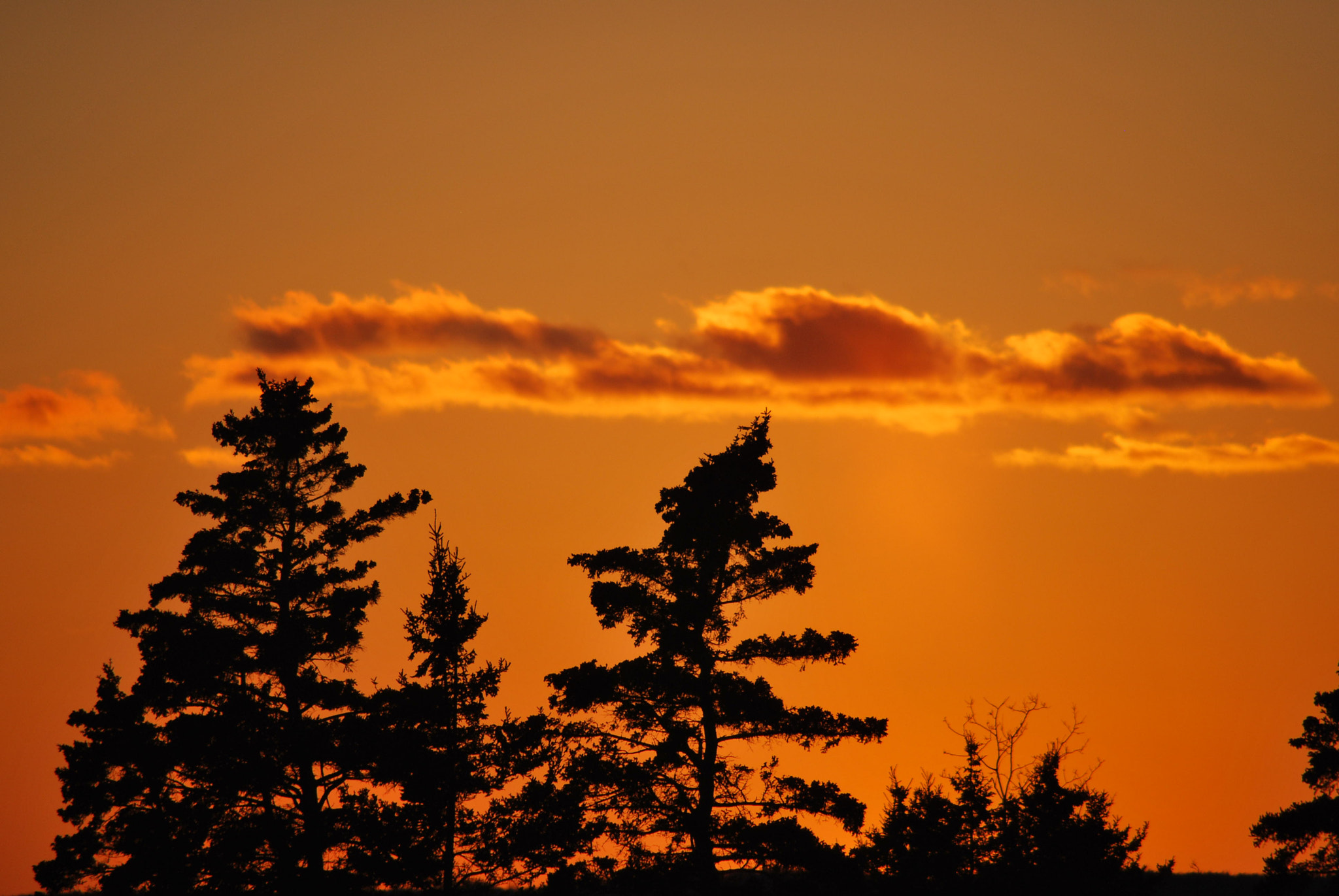 Nikon D60 sample photo. Sunset photography