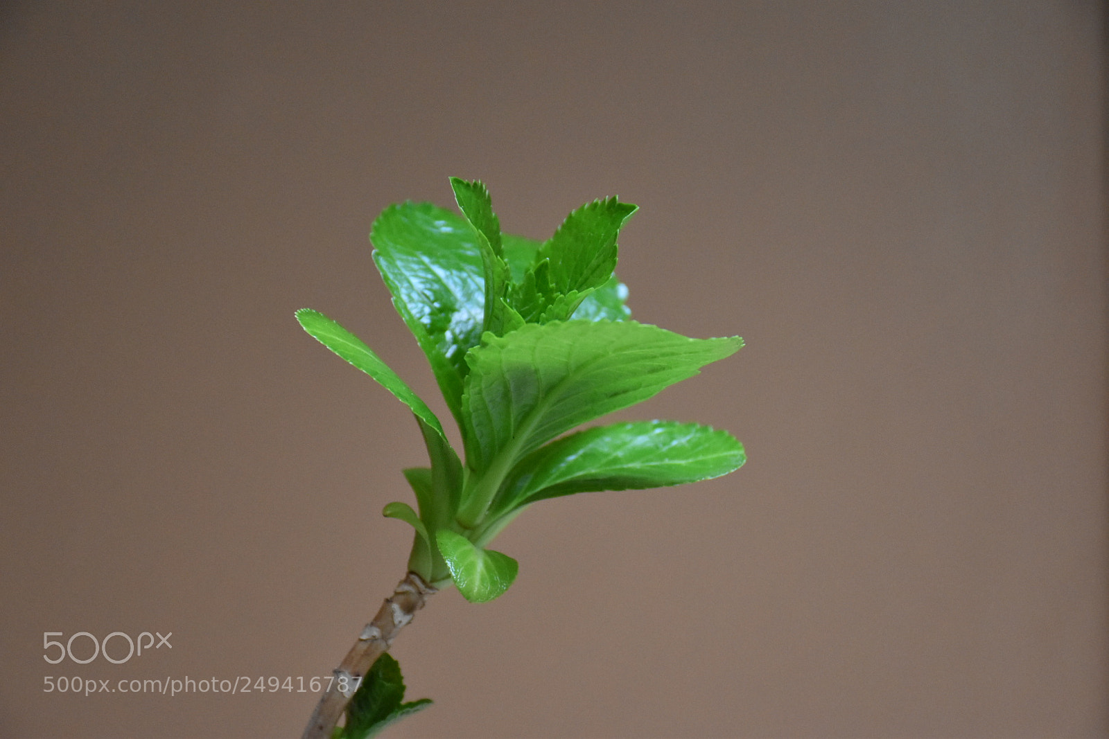Nikon D5600 sample photo. Untitled photography