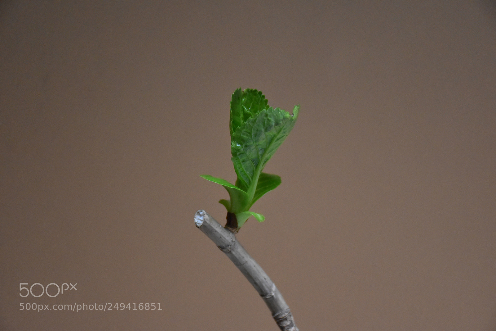 Nikon D5600 sample photo. Untitled photography