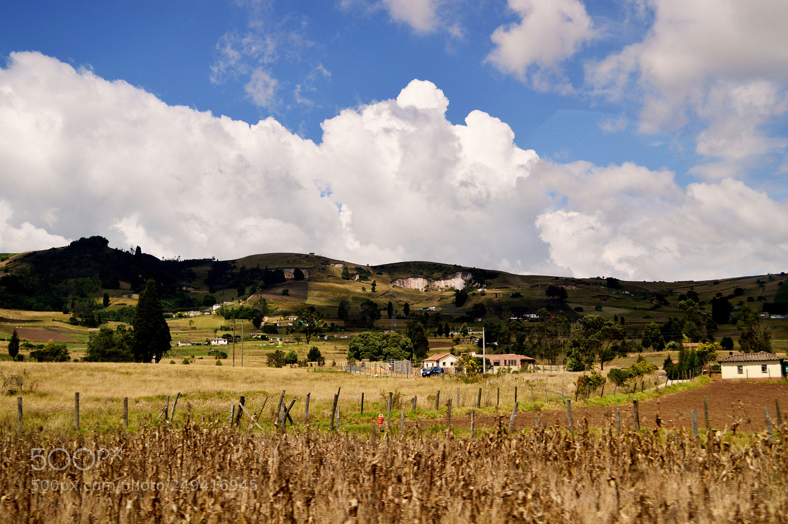 Nikon D3200 sample photo. View photography