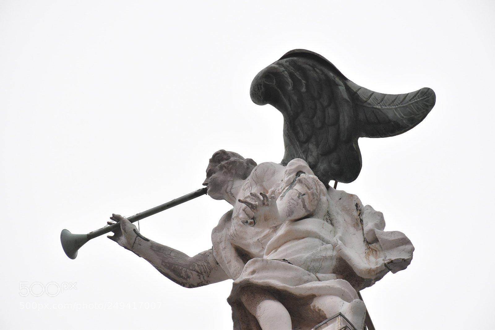 Nikon D5600 sample photo. Untitled photography