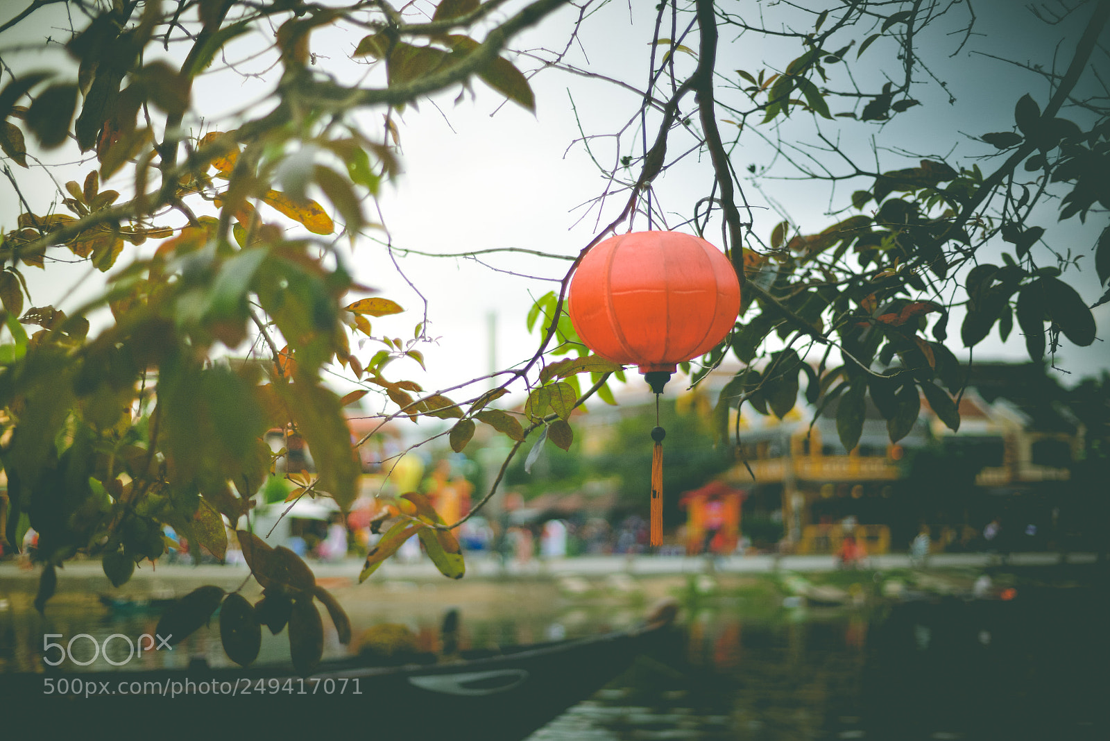 Nikon D610 sample photo. Hoianheart photography