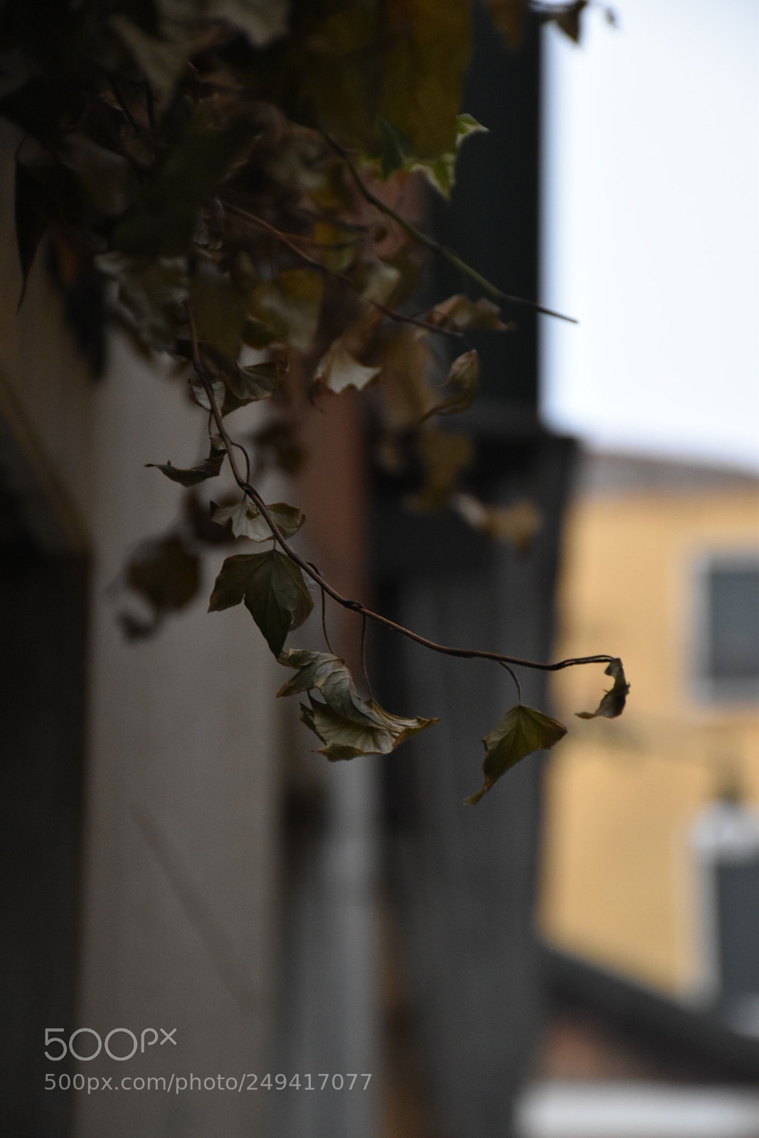 Nikon D5600 sample photo. Untitled photography
