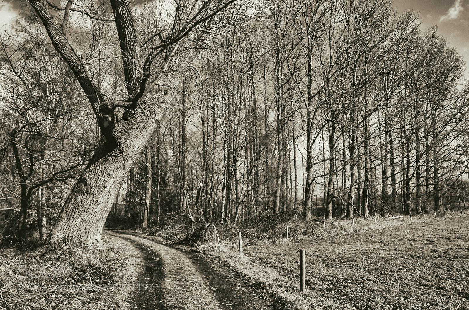 Nikon D7000 sample photo. Landgoed vilsteren photography