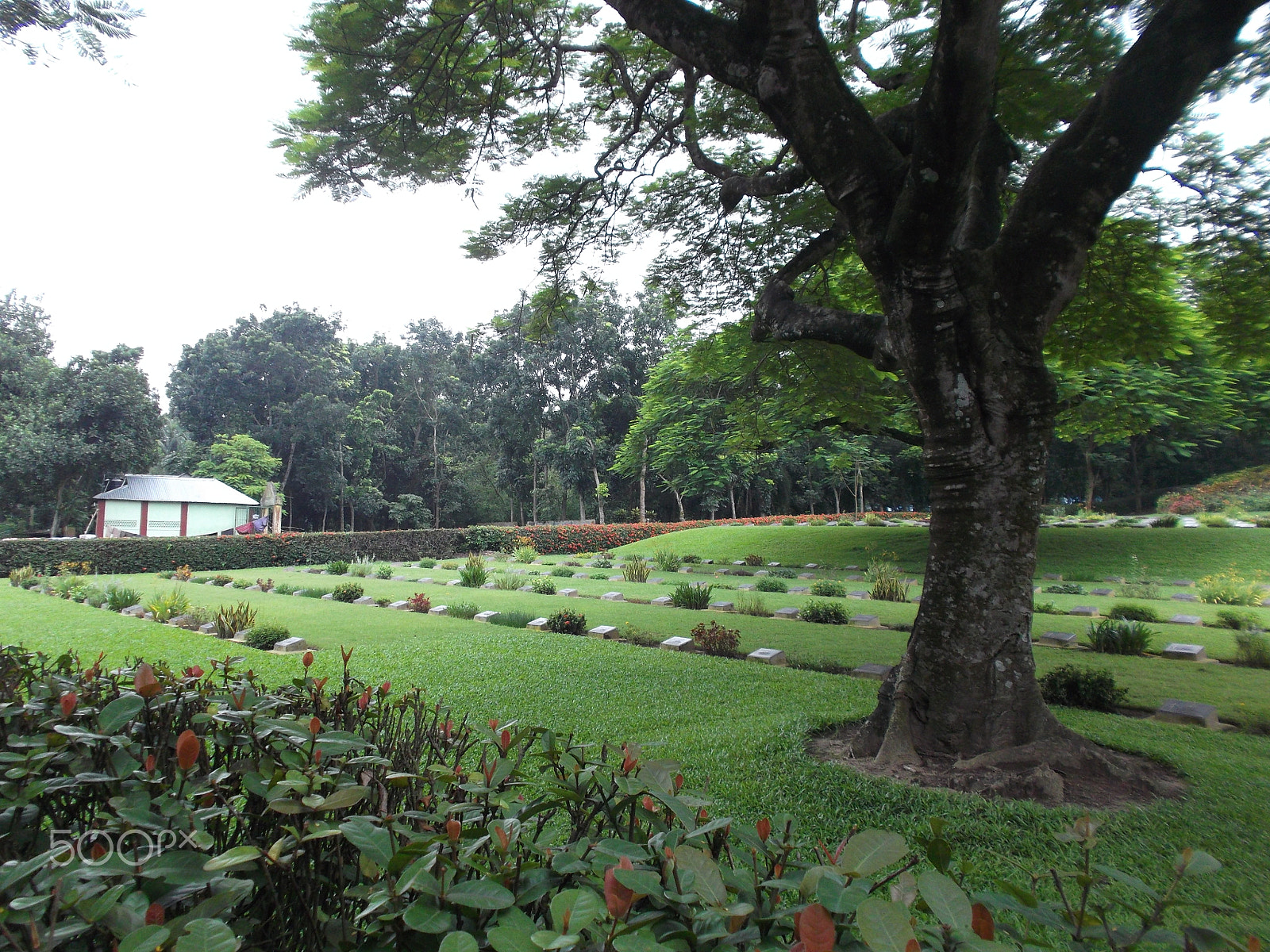 Fujifilm FinePix JX520 sample photo. Maynamati war cemetery photography