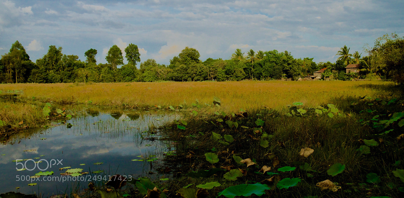 Sony a6300 sample photo. The wetlands of cambodia 1 photography