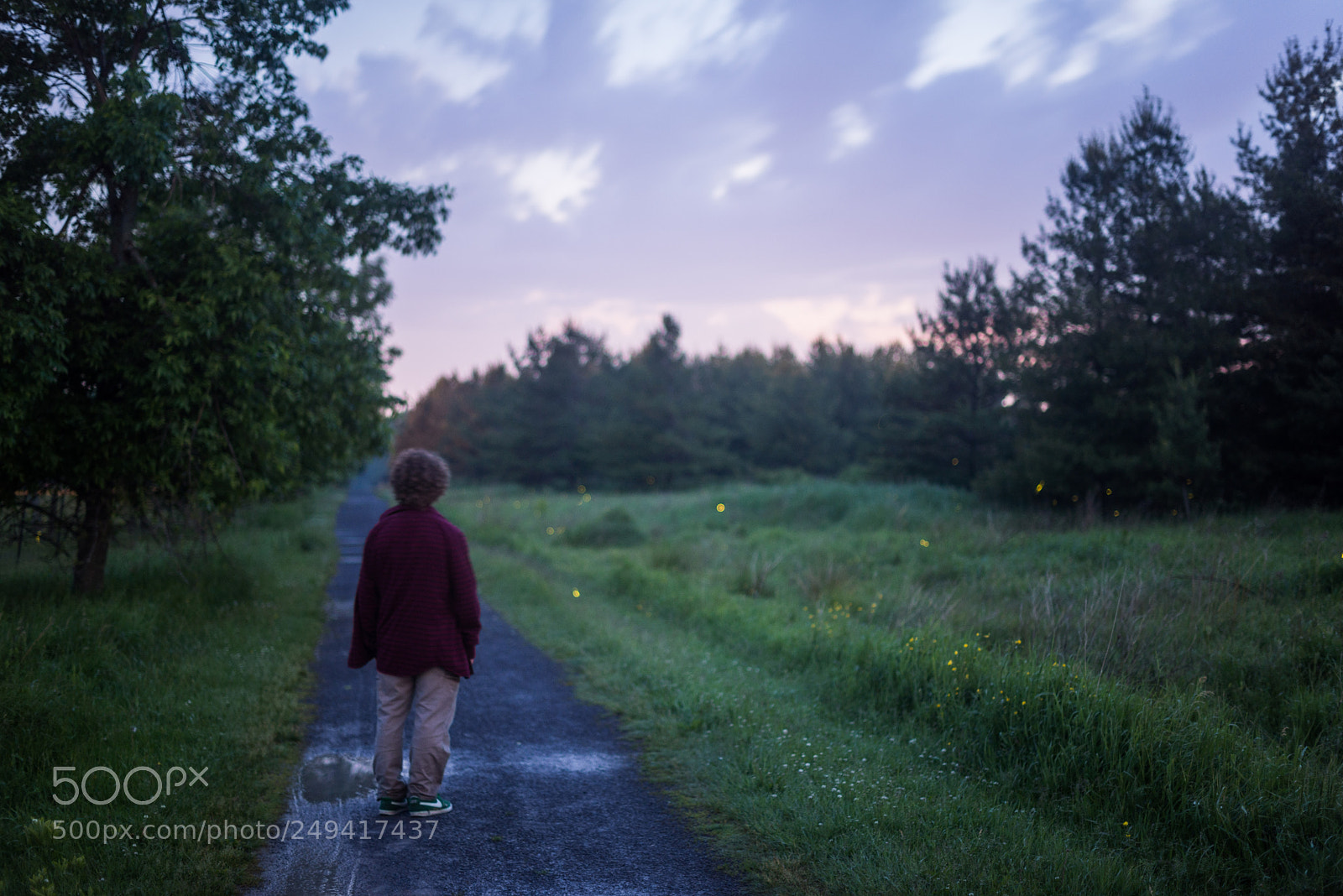 Nikon D600 sample photo. Fireflies photography