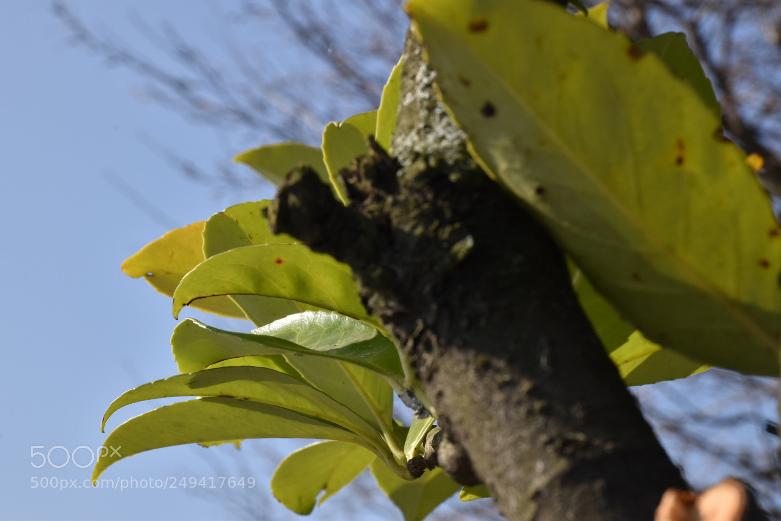 Nikon D5600 sample photo. Untitled photography