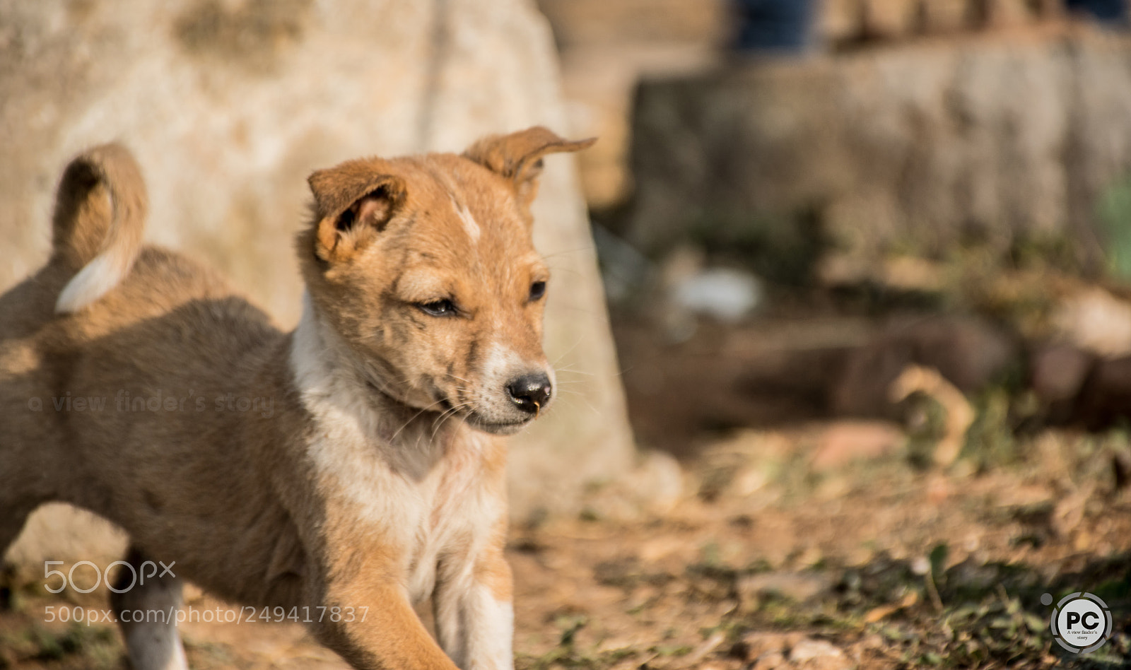 Nikon D5300 sample photo. Getting ready photography