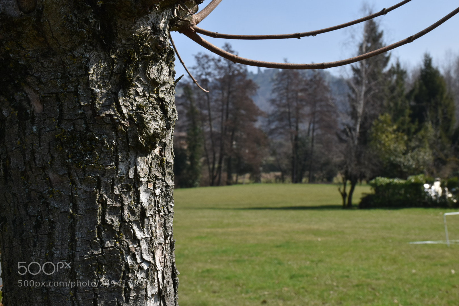 Nikon D5600 sample photo. Untitled photography
