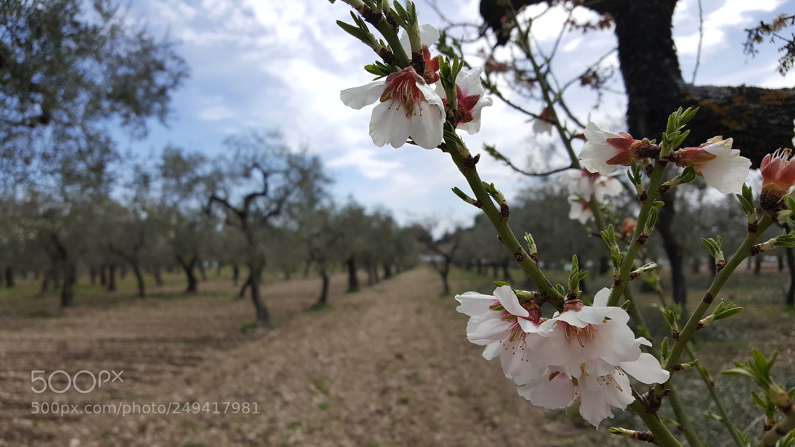 Samsung Galaxy S6 sample photo. Untitled photography