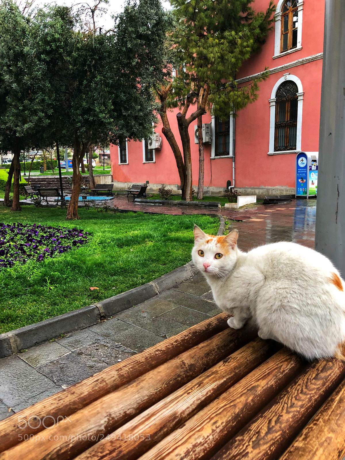 Apple iPhone X sample photo. Untitled photography