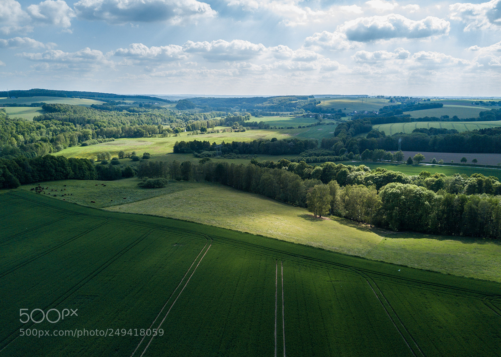 DJI FC220 sample photo. Green afternoon photography