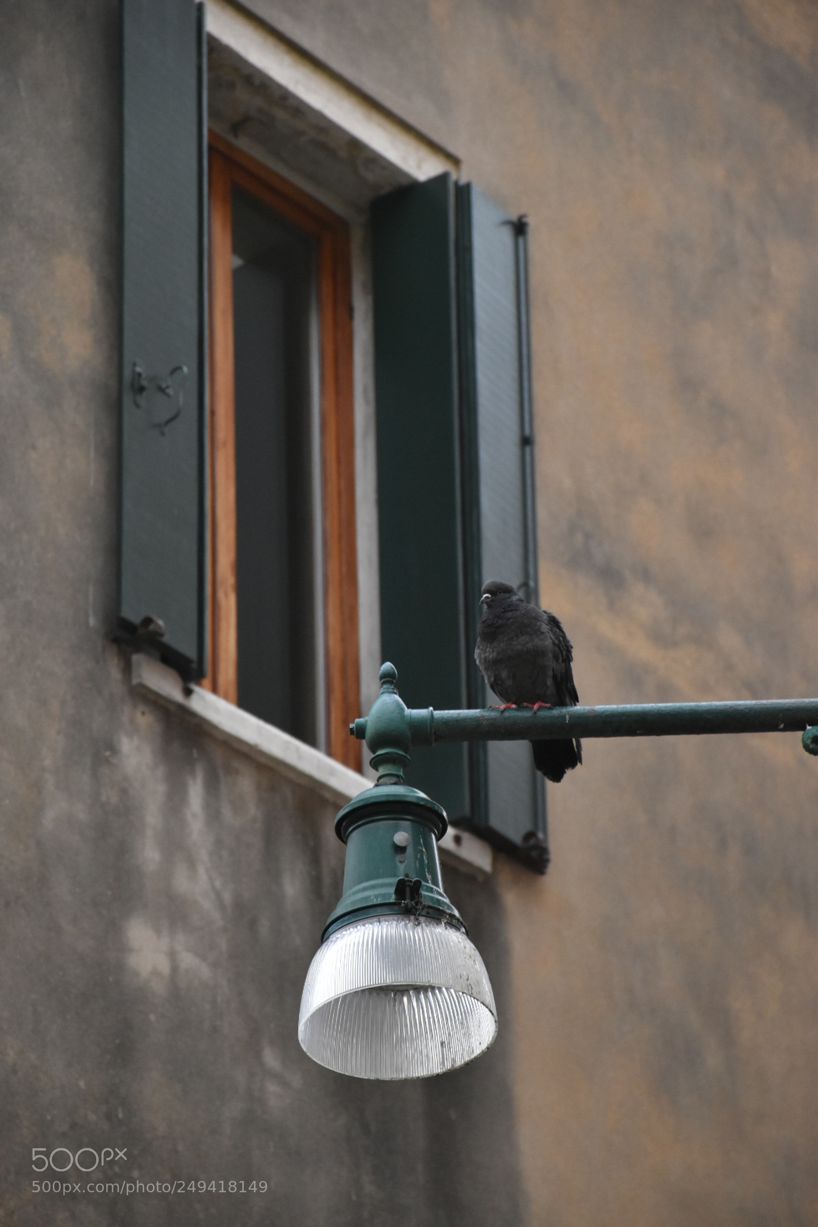 Nikon D5600 sample photo. Untitled photography