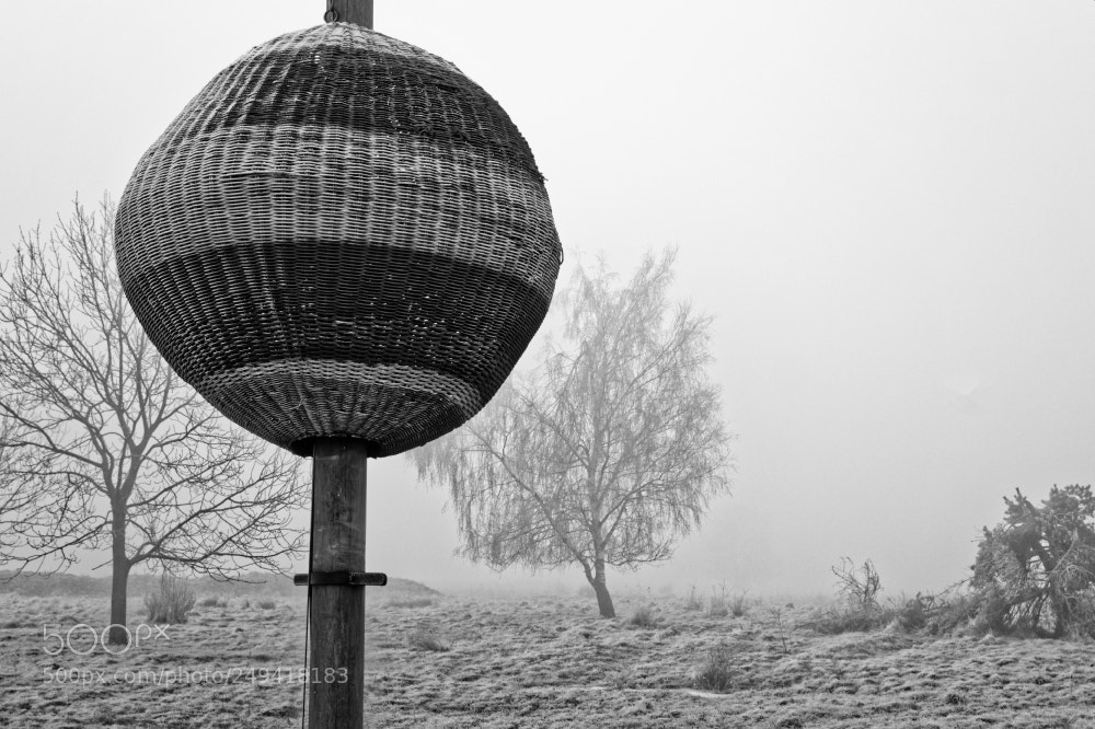 Sony SLT-A58 sample photo. Thuringia in the fog photography