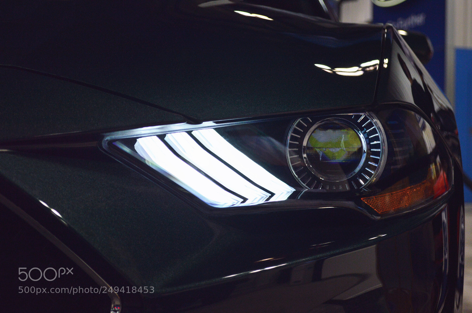 Nikon D3200 sample photo. 2019 ford mustang 50th photography