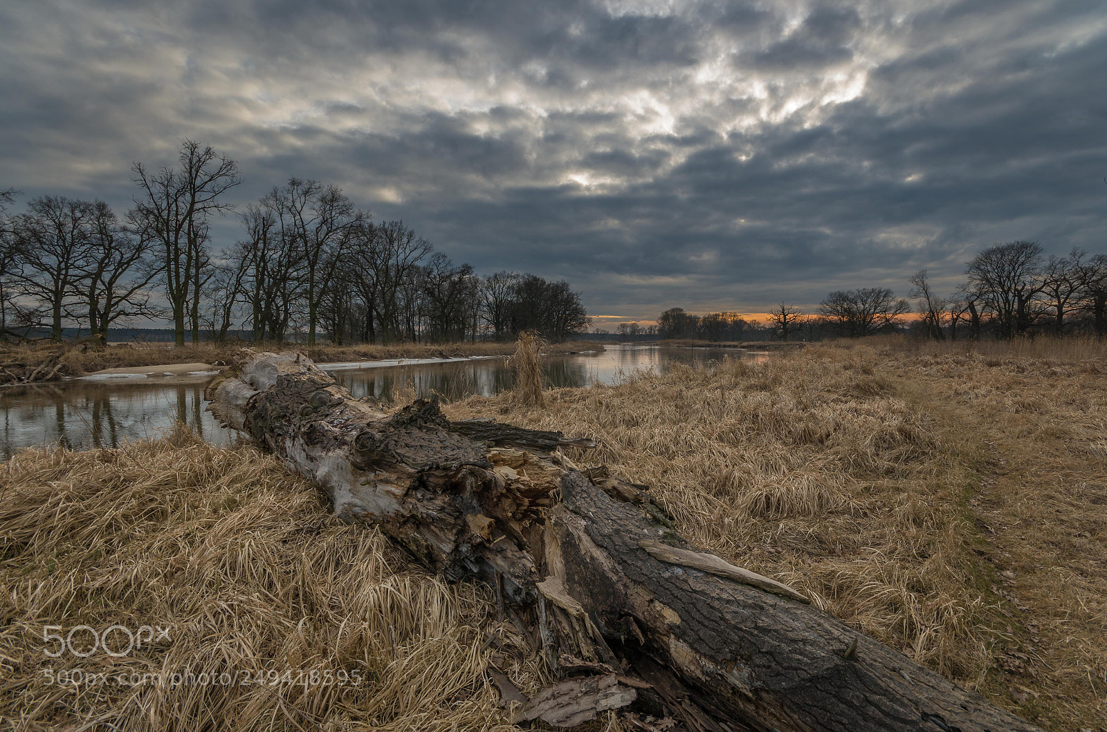 Pentax K-50 sample photo. Twilight in rogalin photography