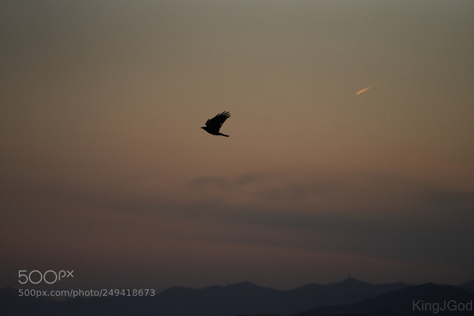 Sony a7R III sample photo. Bird photography