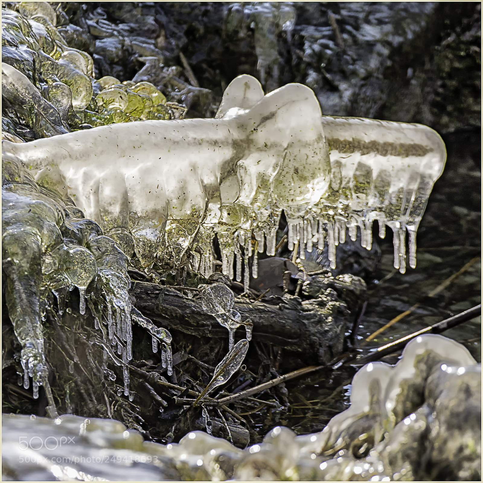 Nikon D610 sample photo. Monstre glacé. photography