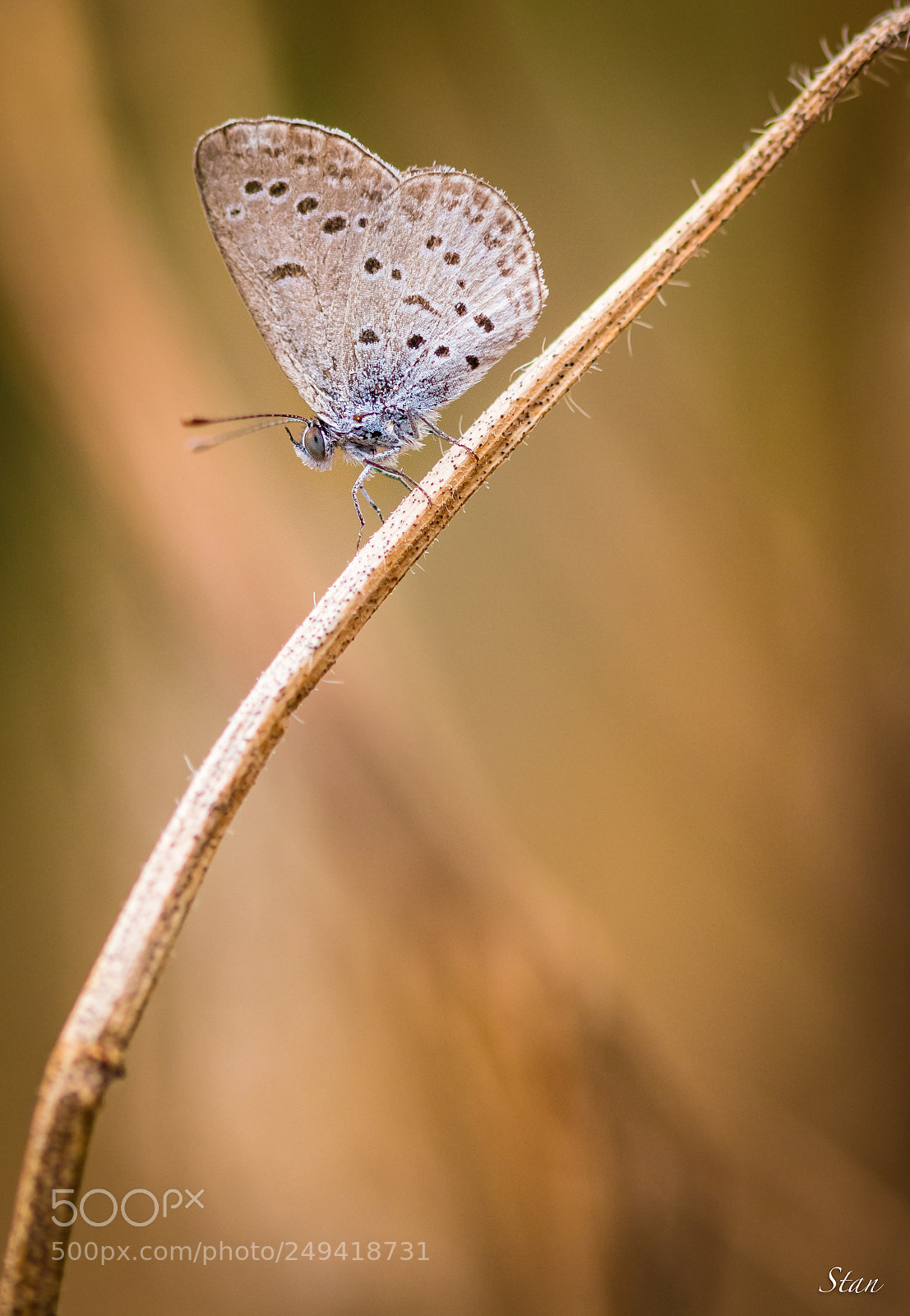 Canon EOS 80D sample photo. Matin bonheur photography