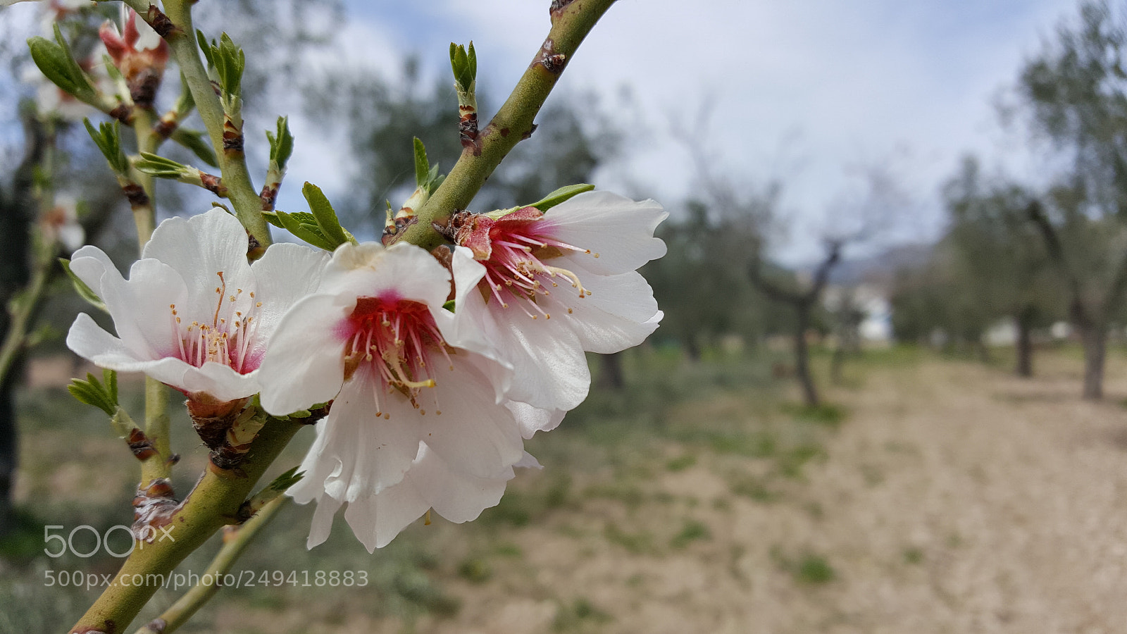 Samsung Galaxy S6 sample photo. Untitled photography