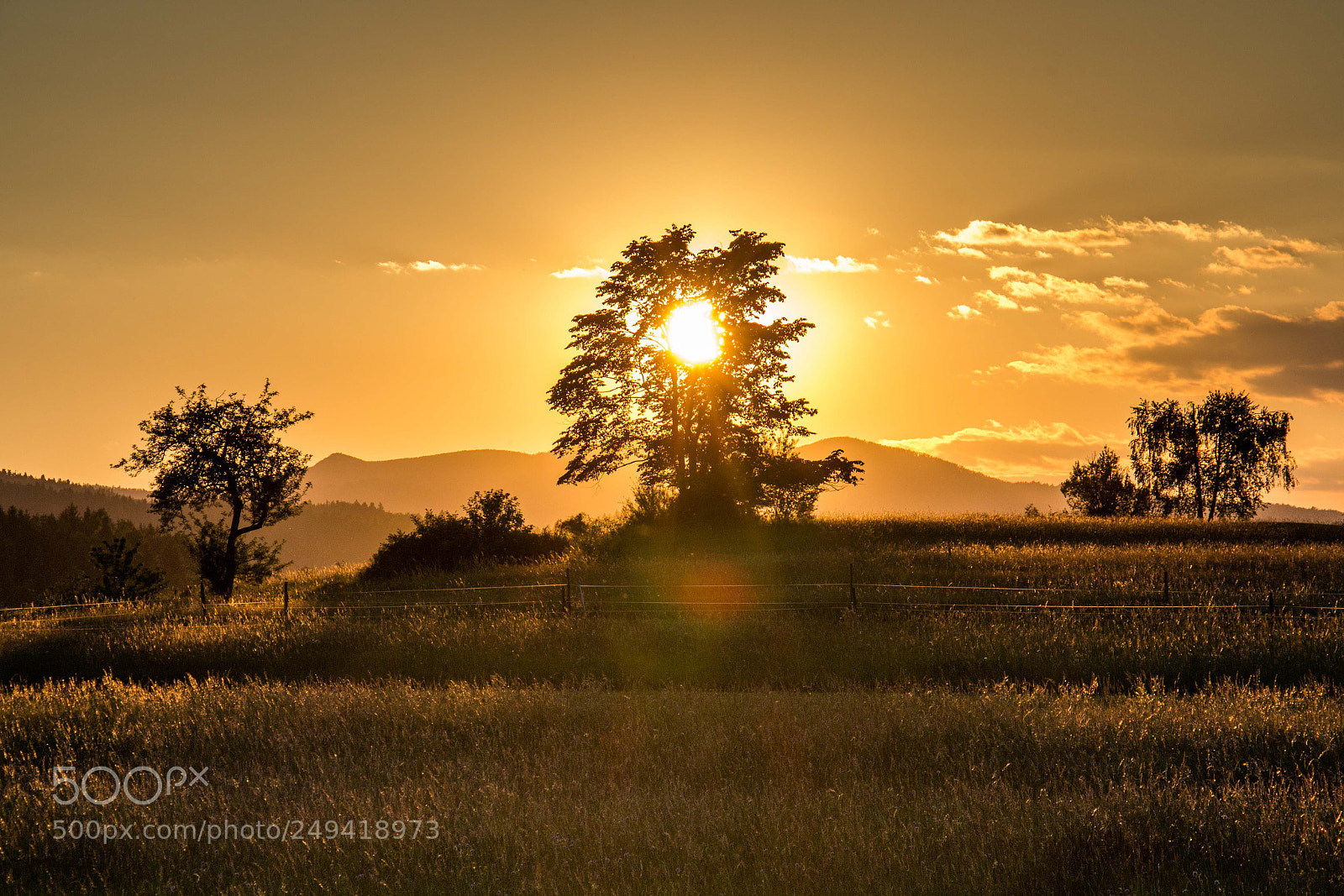 Canon EOS 700D (EOS Rebel T5i / EOS Kiss X7i) sample photo. Spring sunset photography