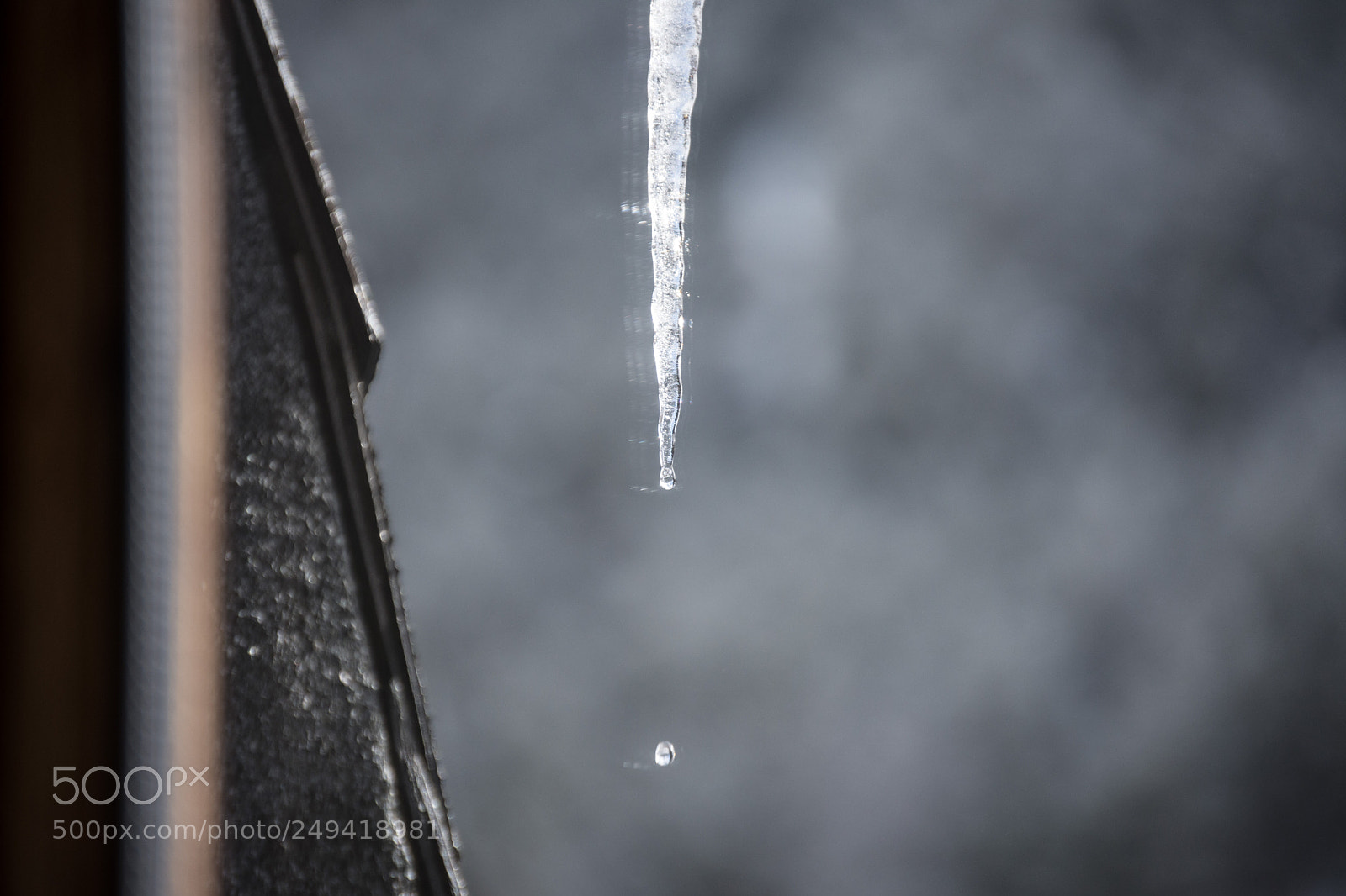 Nikon D7200 sample photo. Spring is coming photography