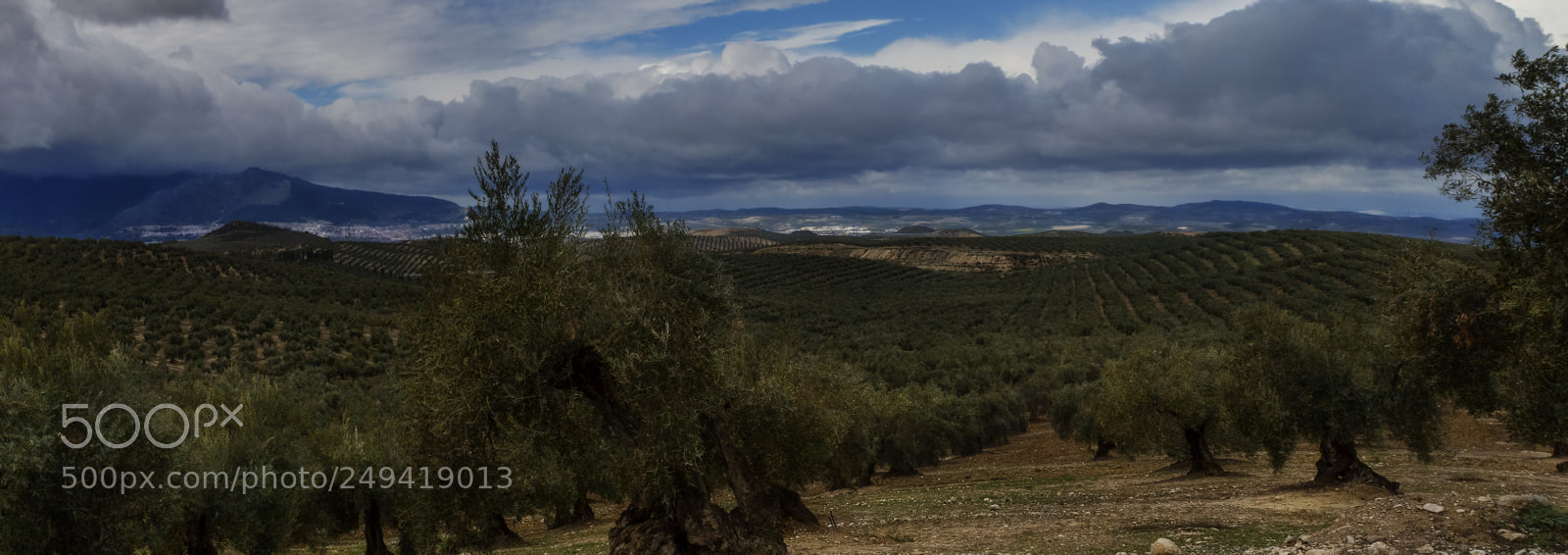 Canon PowerShot G10 sample photo. Jaen's fields photography