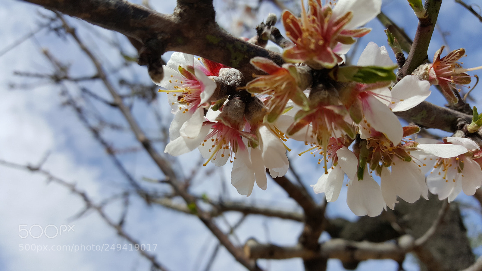 Samsung Galaxy S6 sample photo. Untitled photography