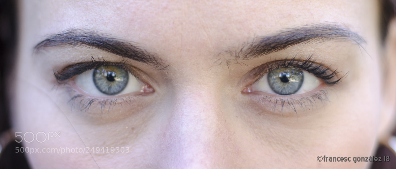 Nikon D5100 sample photo. Looking for ....... photography