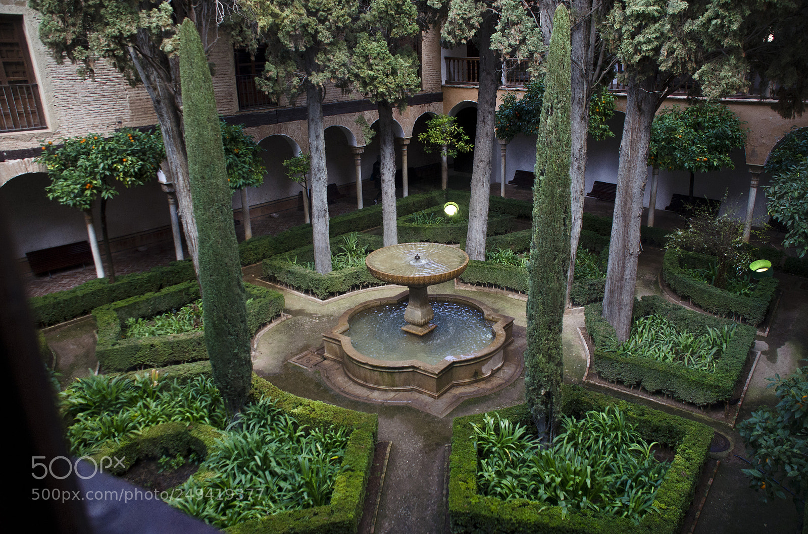 Nikon D7000 sample photo. Court del cipr s photography