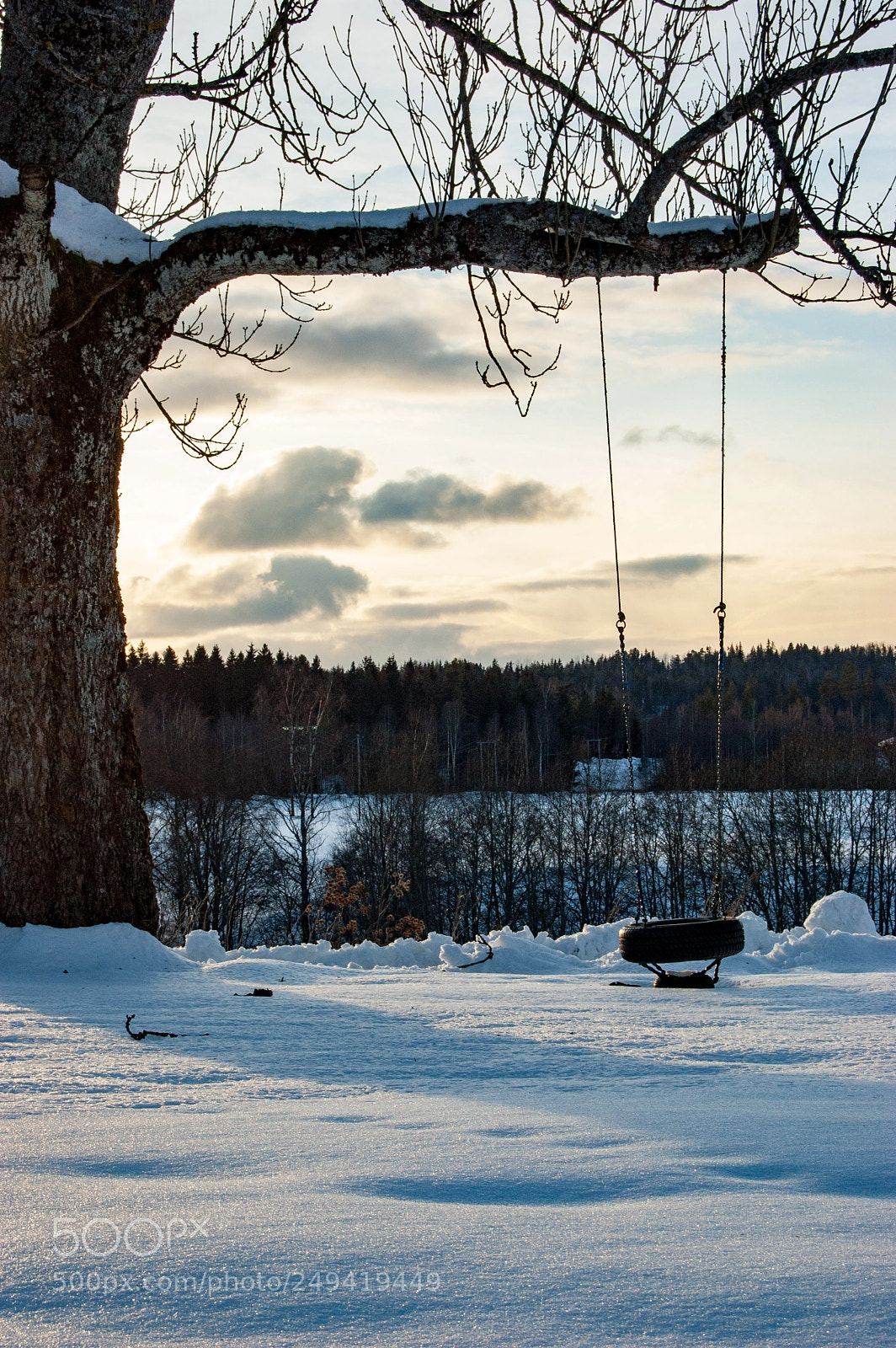 Nikon D40 sample photo. Waiting for summer photography