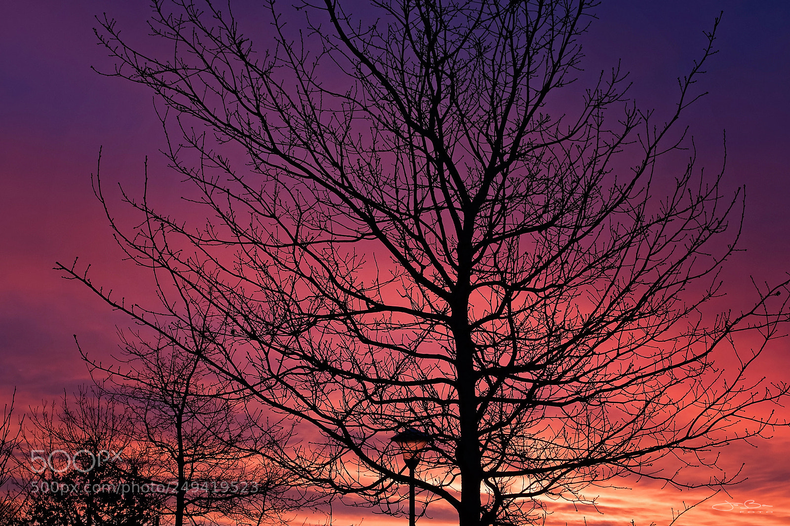 Canon EOS 80D sample photo. Purple sky photography
