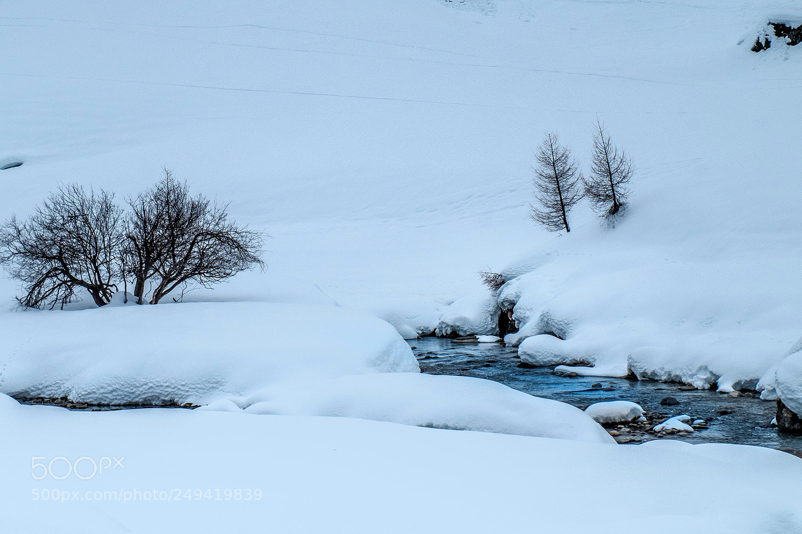 Fujifilm X-M1 sample photo. Le origini dell'aurino photography