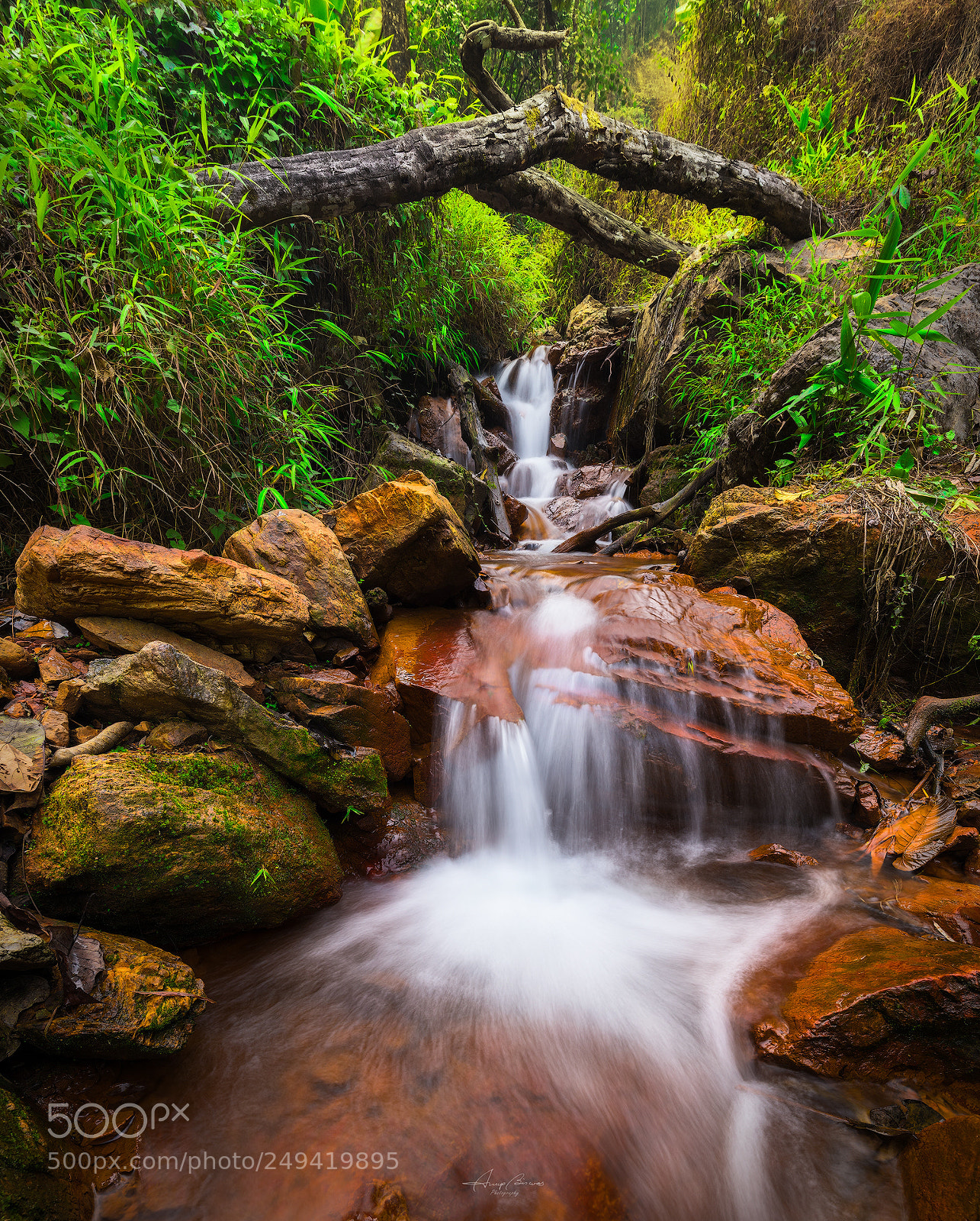 Canon EOS 5D Mark IV sample photo. Flow photography