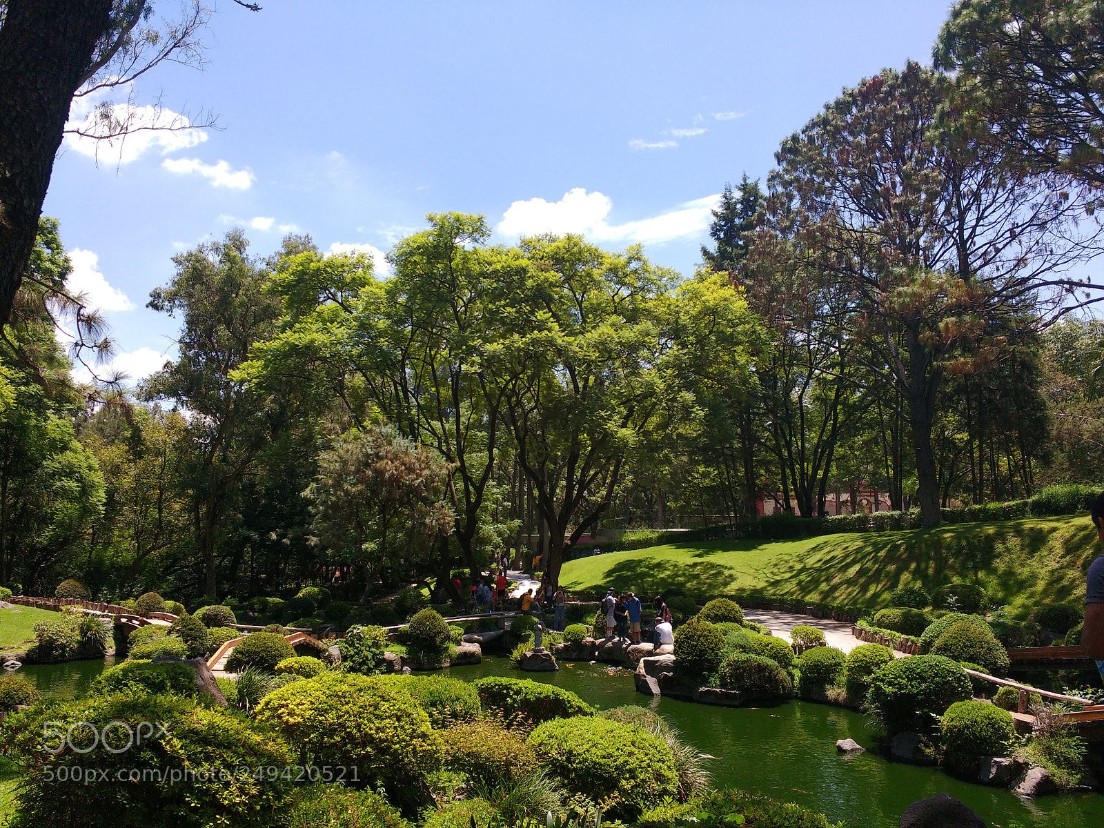 Motorola MotoG3 sample photo. Untitled photography