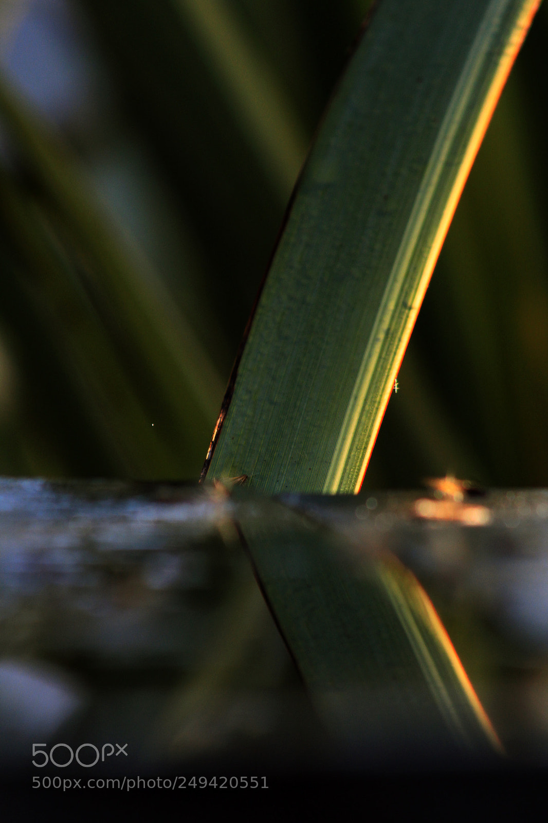 Canon EOS 1200D (EOS Rebel T5 / EOS Kiss X70 / EOS Hi) sample photo. Img photography
