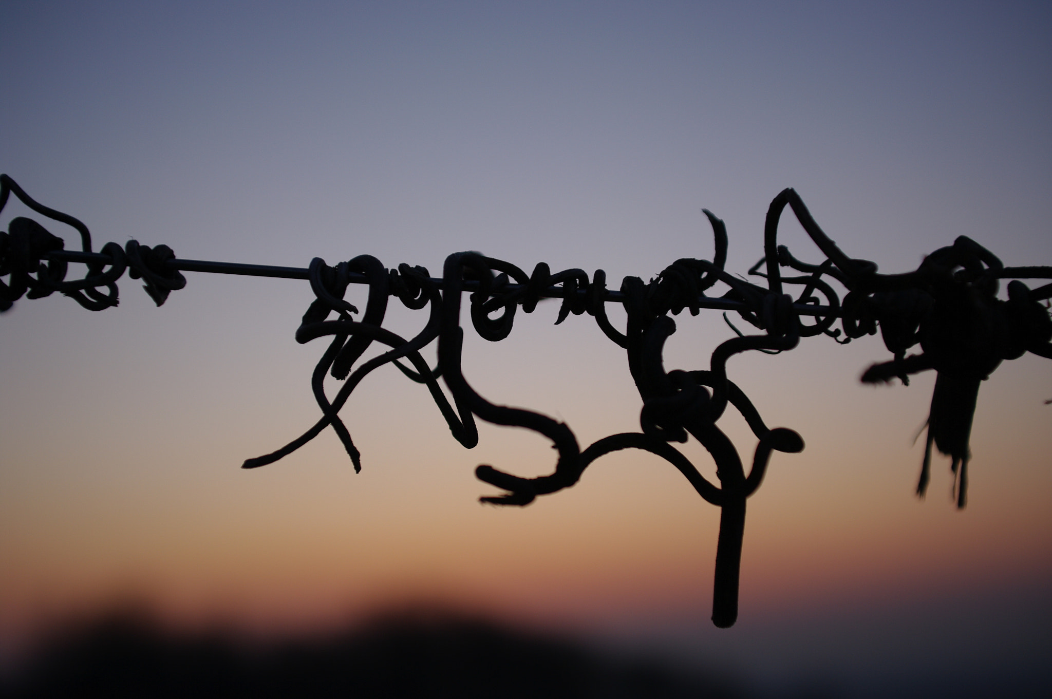 Sigma Lens (8 255) sample photo. -16° photography