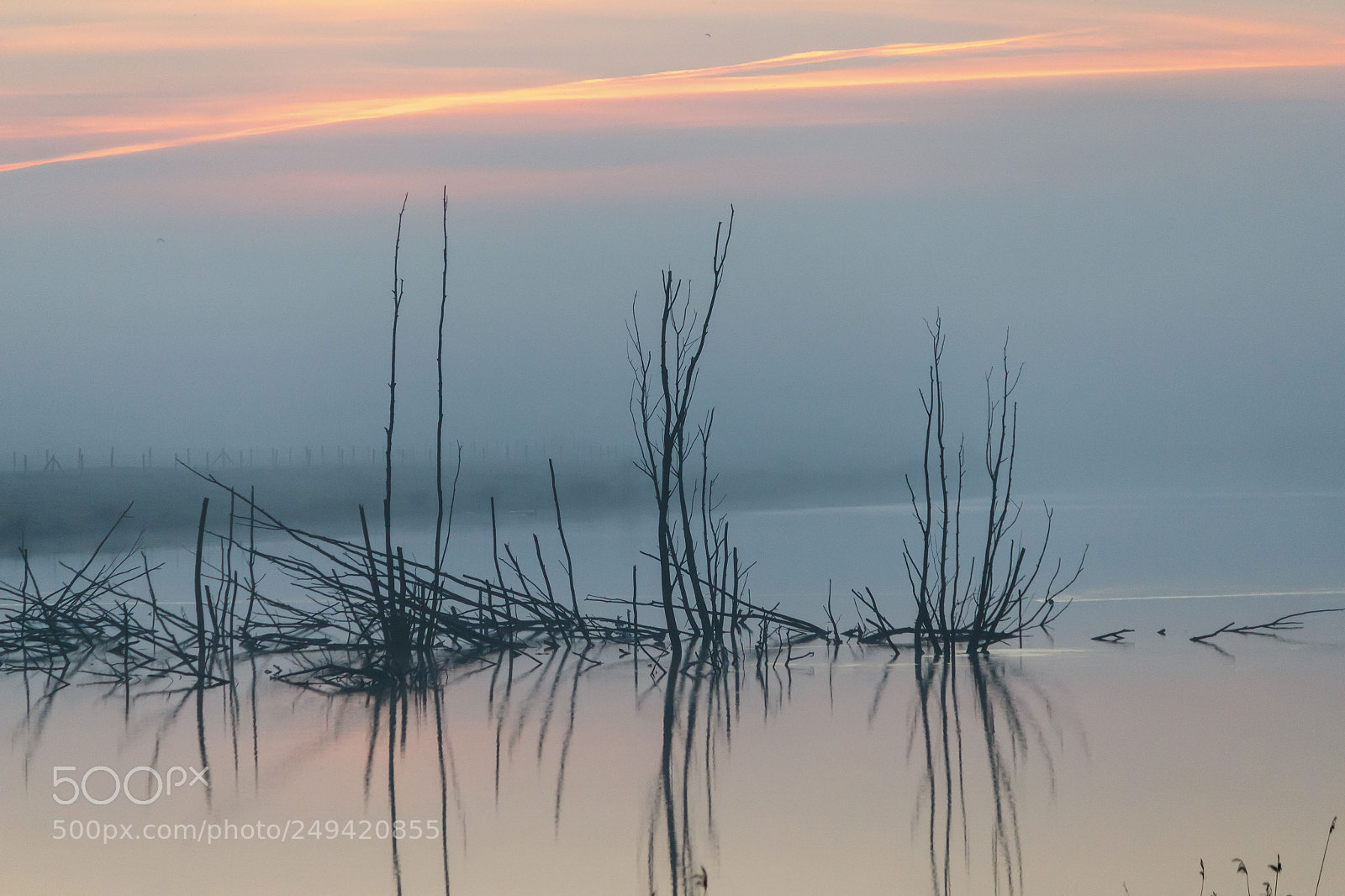 Canon EOS 550D (EOS Rebel T2i / EOS Kiss X4) sample photo. Misty morning photography