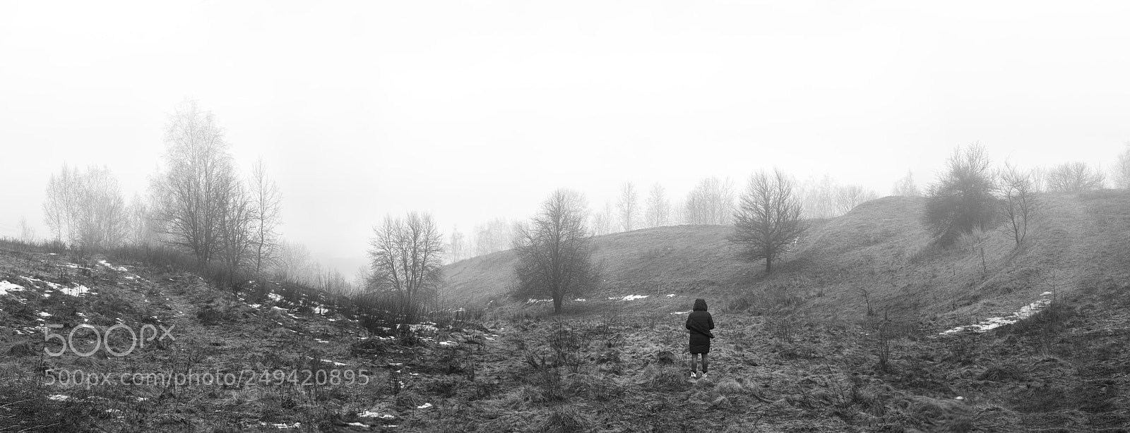 Nikon D800E sample photo. Spring fog photography