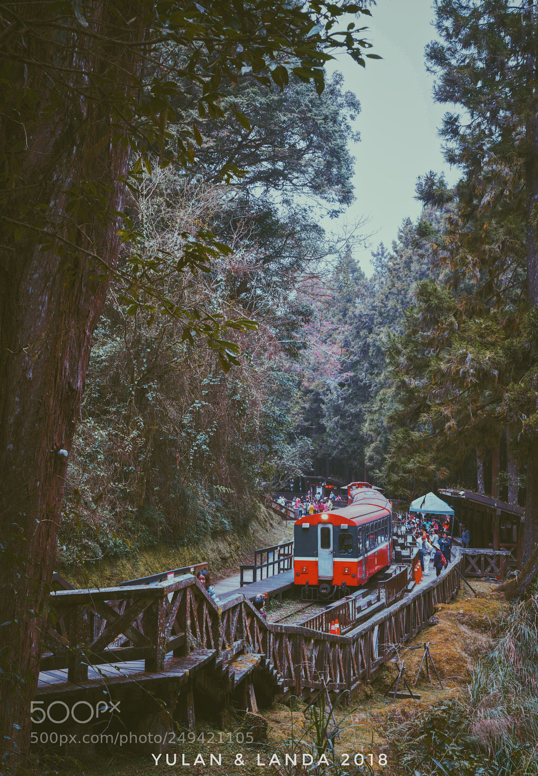 Sony a7R II sample photo. Alishan forest railway photography