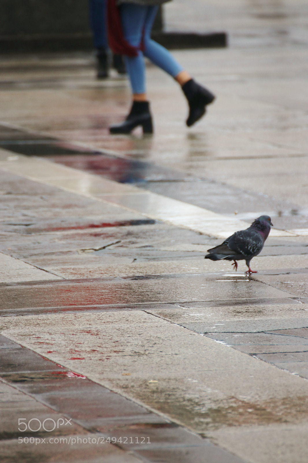 Canon EOS 80D sample photo. Put your best foot photography