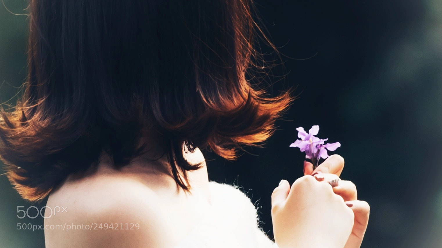 Sony a7R III sample photo. Untitled photography